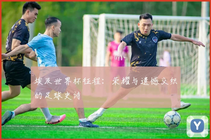 埃及世界杯征程：荣耀与遗憾交织的足球史诗
