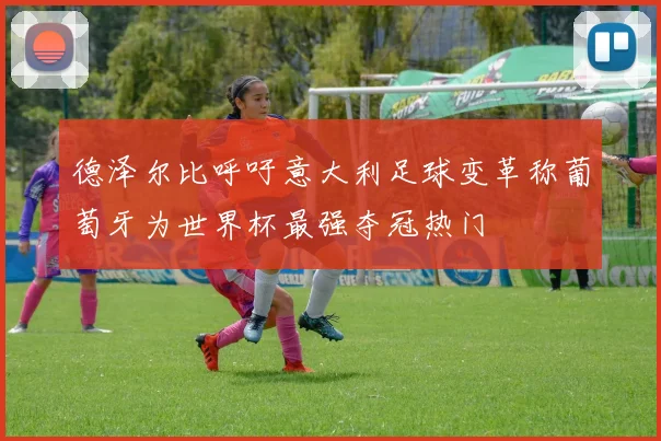 德泽尔比呼吁意大利足球变革称葡萄牙为世界杯最强夺冠热门